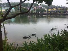 -深圳东部华侨城茵特拉根酒店