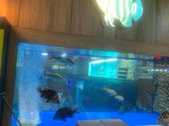 -中环花鸟鱼虫市场