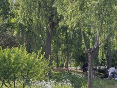 -东郊湿地公园
