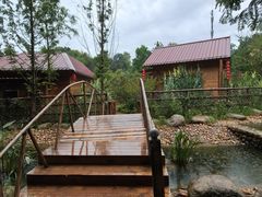 -青龙山国家森林公园
