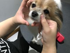 -Oh My Dog宠物沙龙(伊珊娜皮毛护理店)