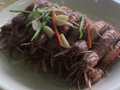 盐水濑尿虾-旺富东海大酒楼(海鲜街店)
