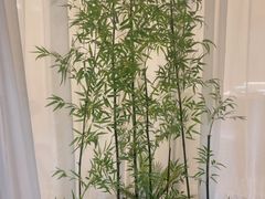 -上地宴·中关村的会客厅(清河高铁站店)