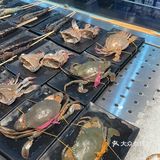 【探店】1元吃海鲜！今天最后一天了！