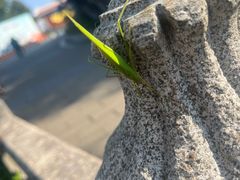 -安溪清水岩