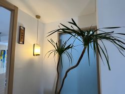-吾之瑜生瑜伽普拉提学院