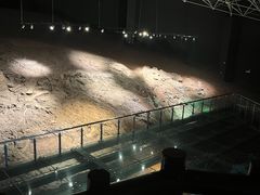 -世界恐龙谷景区