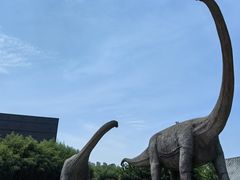 -安徽省地质博物馆