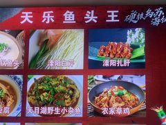 -天乐农家鱼头王(天目湖店)