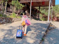 -天门沟九州驿站树上汤泉