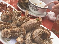 -食海部落
