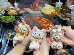 -谭记重庆老火锅(总店)