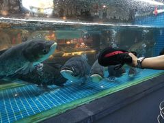 -常和州·夜宵大排档(常州单店)