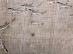 -尚宴(盛世广场·食尚街店)