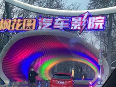 -枫花园汽车电影院(朝阳公园店)