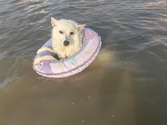 -东戴河风景区-止锚湾