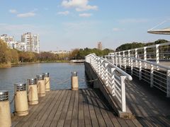 -新江湾城公园