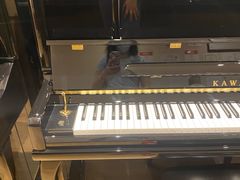 -柏斯琴行(汾阳店)