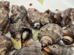-倍儿美海鲜大排挡·非遗海鲜蒸饺(洋货店)