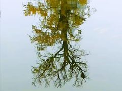 -狼山风景名胜区