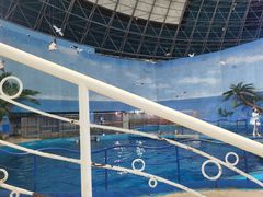 -泉城欧乐堡海洋极地世界