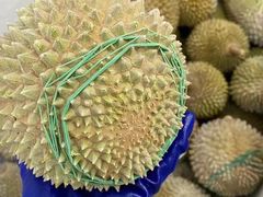 -开皇马来西亚榴莲美食店(华强北店)