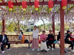 -天适樱花悠乐园