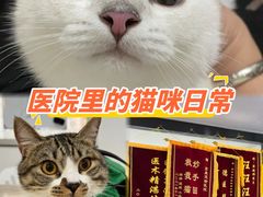 -荔康动物医院(康王北路店)