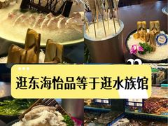 -东海怡品海鲜豆捞(舟宿夜江店)