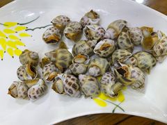 花螺-阿静美食