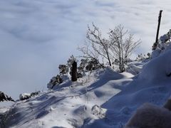 -瓦屋山景区