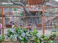 -南宫五洲植物乐园