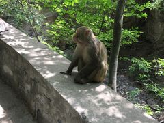 -北京上方山国家森林公园