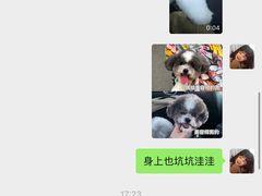 -熊小胖宠物生活馆(天华园店)