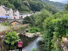 -雁南飞茶田景区