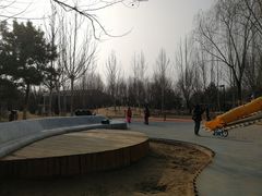 -东升文体公园