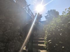 -林坑古村落