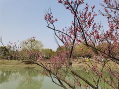 -嘉北郊野公园