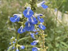 -白鹭湾湿地公园