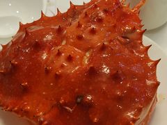 -小贝壳酒楼(经九路店)