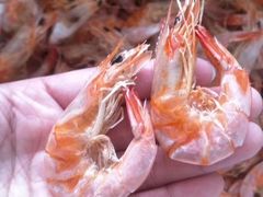 -威海渔村(静安旗舰店)