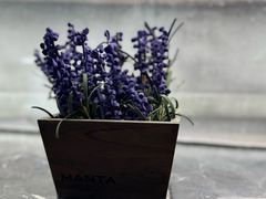 -青山上品咖啡·日式法兰绒手冲(高岛屋百货店)