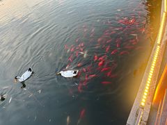 -西安汉城湖景区