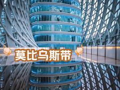 -凤凰中心