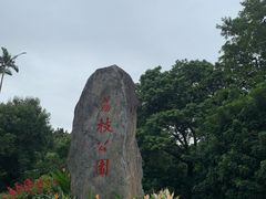 -荔枝公园(福田区)