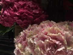 -新加坡圣淘沙名胜世界迈克尔酒店