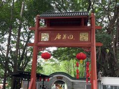 -侨美·唐荔园·40年地道粤菜