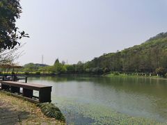 -八卦田遗址公园
