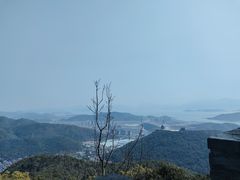 -黄贤森林公园