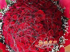 -上海佘山国家森林公园西佘山园